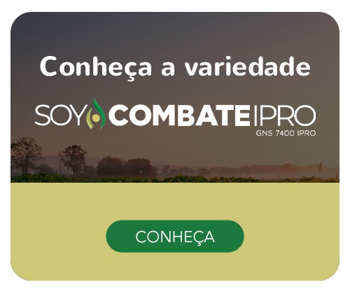 Soy Combate IPRO