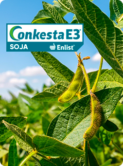 conkesta
