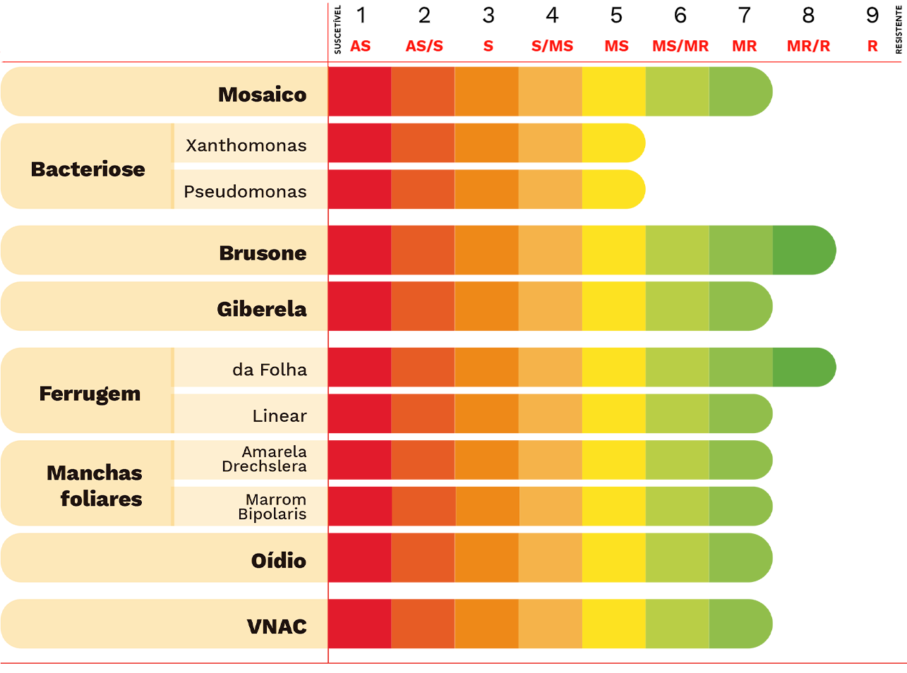 Reação-às-DOenças-ORS-Lampiao
