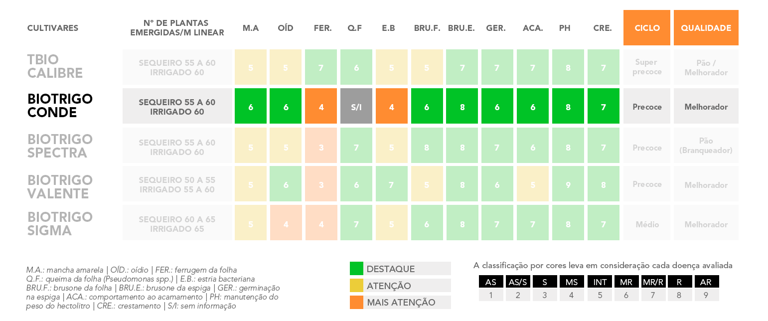 tabela-biotrigo-Conde